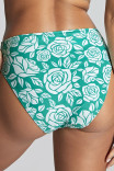 Купальні плавки Panache Ella Midi Brife SW1729B English Rose Print