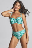 Купальні плавки Panache Ella Midi Brife SW1729B English Rose Print