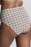 Купальні плавки високі Panache Bette High Waist Brief SW1755A Srsckr Multi