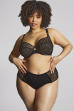 Брифы Panache Sculptresse Sophia Deep Brief 11192 Black