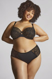 Брифы Panache Sculptresse Sophia Deep Brief 11192 Black
