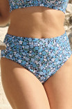 Купальные плавки высокие Panache Bette High Waist Brief SW1755B Posy Print