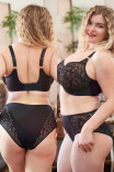 Брифы Panache Sculptresse Sophia Deep Brief 11192 Black
