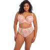 Бюстгальтер мягкий Elomi Lucie Plunge Bra EL4490 Cosmos